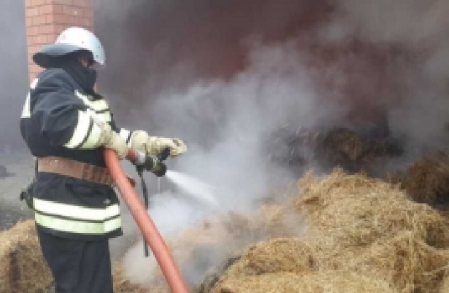 В Плюсском районе пожарные тушили сено - 2019-08-10 07:27:00 - 1