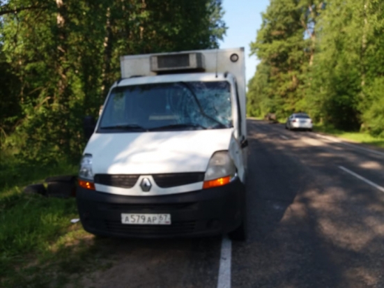 На трассе в Великолукском районе насмерть сбили лося (ФОТО) - 2020-06-25 21:10:00 - 1