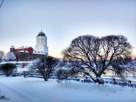 В Выборгском замке откроют для посетителей средневековый тайный ход - 2019-02-25 16:26:00 - 1