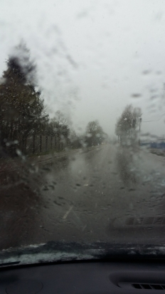 Фотофакт: весна над нами посмеялась - 2016-04-22 09:03:00 - 1