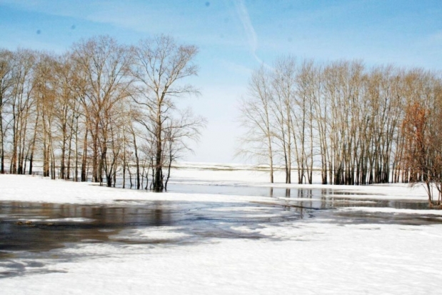 Прогноз погоды на 4 марта в Великих Луках и области - 2019-03-04 06:02:00 - 1