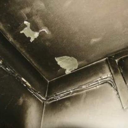 В Пскове сотрудники вневедомственной охраны эвакуировали детей из задымленной квартиры - 2016-10-26 10:01:00 - 1