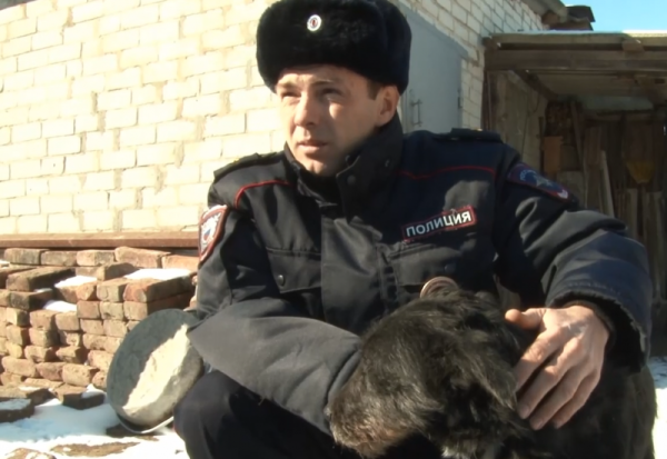 Полицейский из Ставропольского края приютил раненую собаку и задержал стрелявшего в нее мужчину (ВИДЕО) - 2020-02-27 15:06:00 - 1