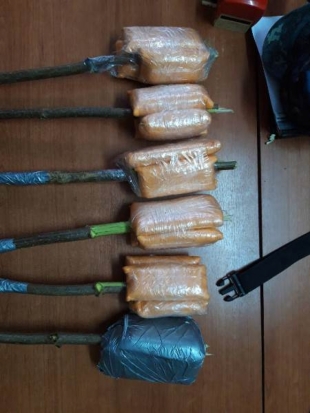 Сотрудники исправительной колонии Островского района пресекли попытку переброса запрещенных предметов - 2019-08-26 20:13:00 - 1