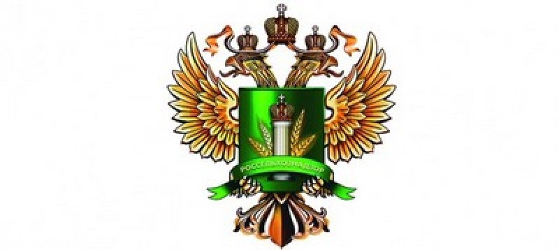 В январе сотрудники Россельхознадзора провели ветеринарный контроль коров, лошадей и коз на границе в Псковской области - 2020-02-08 13:02:00 - 1