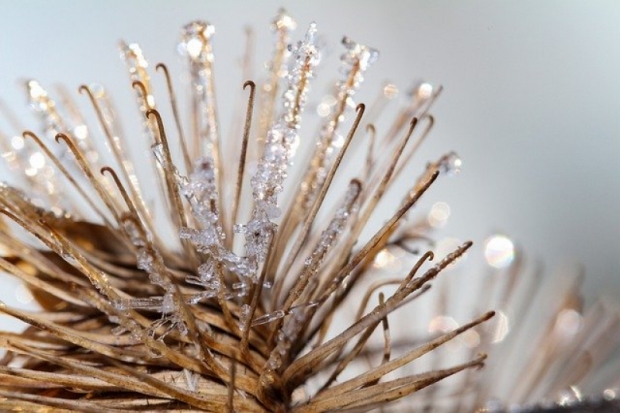 Погода в Псковской области на 4 марта - 2020-03-03 14:36:00 - 1