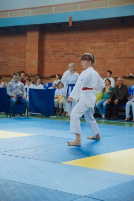 В Великих Луках прошел турнир по каратэ (ФОТО) - 2016-05-28 17:14:00 - 1