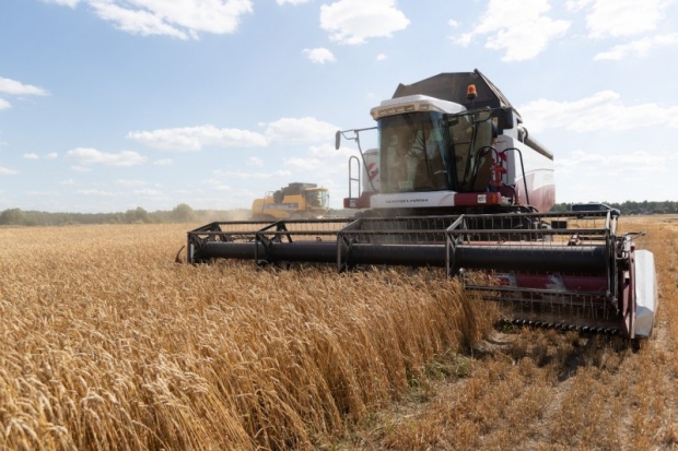 В Псковской области в пять раз вырос сбор зерновых - 2019-08-05 13:11:00 - 1