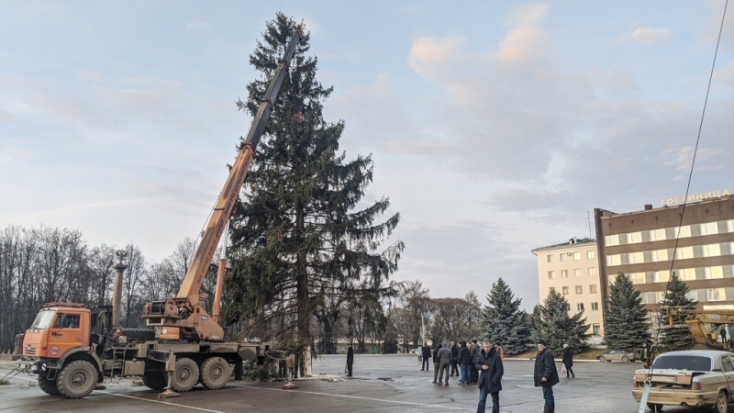 ФОТО: в Великие Луки привезли главную городскую елку - 2019-12-18 16:48:00 - 1