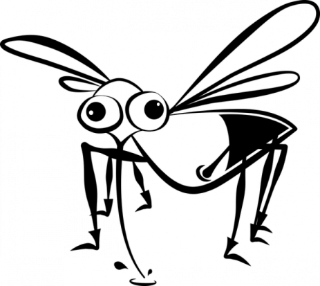Из-за теплой зимы прогнозируют исчезновение комаров и рыб - 2020-02-10 07:29:00 - 1