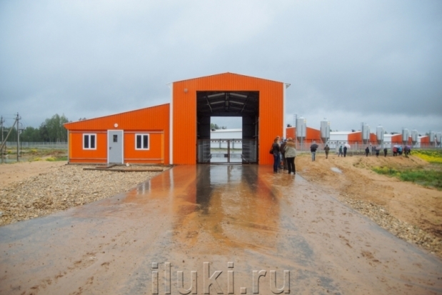 Противники строительства свинокомплекса в Поречье спрашивают: Есть ли у губернатора власть остановить беспредел? - 2016-05-23 17:06:00 - 1