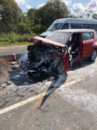 Страшное ДТП в Псковской области: 1 человек погиб, 4 ранены (ФОТО) - 2019-08-10 12:12:00 - 1