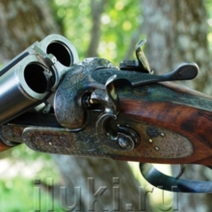 Приставы наложили арест на охотничье ружье должника по налогам и кредиту - 2016-10-03 20:27:00 - 1