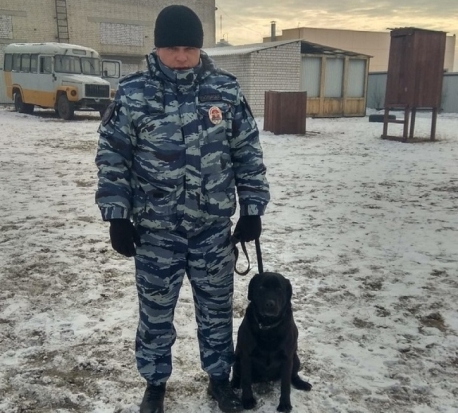 Лабрадор Зара обнаружила наркотики у жителя Читы, которые он спрятал на балконе - 2019-01-16 08:43:00 - 1