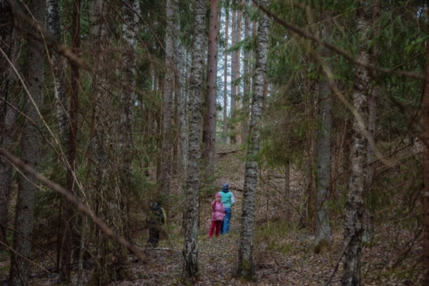 В Сенчитском бору прошло первенство Великих Лук по спортивному ориентированию (ФОТО) - 2016-04-18 09:27:00 - 1