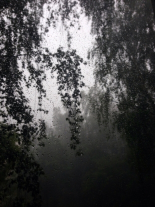 Штормовое предупреждение получено от МЧС на сегодня! Кто верит в грозу и ливень? - 2016-07-03 10:59:00 - 1