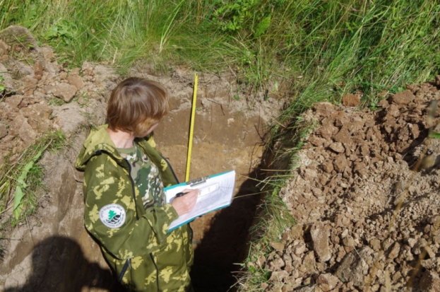 В Псковской области создают еще один лесной питомник - 2019-08-03 10:57:00 - 1