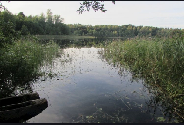 Подробности гибели рыбака на озере в Псковской области рассказал Следственный комитет (+ фото) - 2019-08-29 12:52:00 - 1