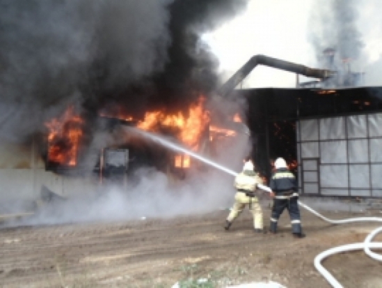 В Печорском районе потушили пожар - 2019-06-27 22:27:00 - 1