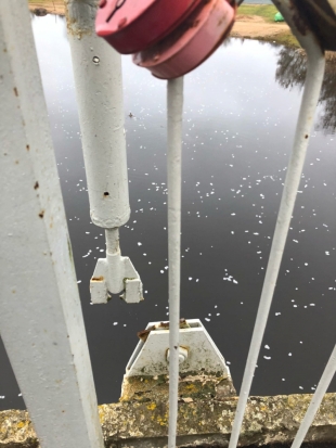 О ремонте и безопасности подвесного моста на Дятлинке ответила Администрация Великих Лук (+ ВИДЕО) - 2019-11-22 18:44:00 - 1