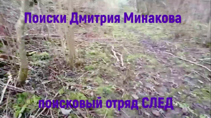 Подробности неофициального расследования смерти пропавшего великолучанина Дмитрия Минакова. Внимание: разыскиваются очевидцы! (ВИДЕО) - 2020-01-12 16:47:00 - 1
