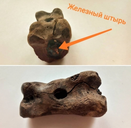 Археологи рассказали, как в старину псковичи играли в «бабки» - 2020-01-17 08:34:00 - 1