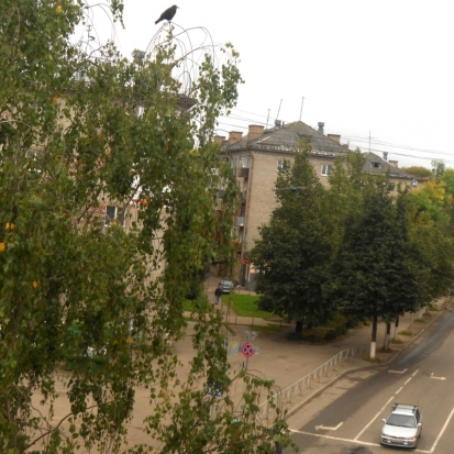 Завтра в Великих Луках днем ожидается до +15°С - 2016-05-18 22:02:00 - 1