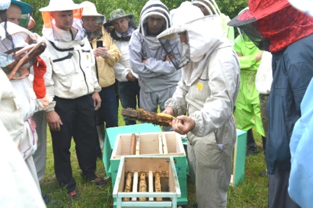 Семинар «Мастер-пчеловод» провели в Великолукском районе (ФОТО) - 2016-06-17 09:27:00 - 1