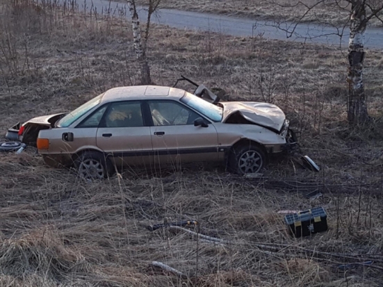В Псковском районе пьяный водитель не справился с управлением и вылетел в кювет (ФОТО) - 2020-04-13 08:57:00 - 1