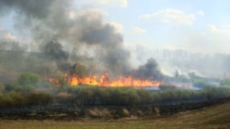 Со 2 по 4 июня в Псковской области ожидается чрезвычайная пожарная опасность - 2016-06-02 17:44:00 - 1