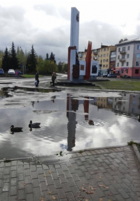 «Превратили город Великие Луки в деревню, освещения нет, дорог нет». И утки по площади плавают - 2018-10-02 16:34:00 - 1