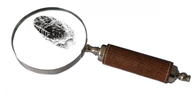 Кражи продуктов и телефона раскрыты в Великих Луках - 2020-12-09 16:13:00 - 1