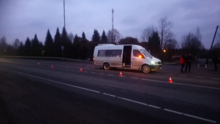 Пешеход погиб под колесами микроавтобуса на дороге Санкт-Петербург-Невель (ФОТО) - 2019-12-06 14:28:00 - 1