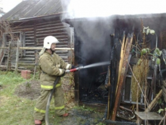 В Дно бесхозное строение пострадало от пожара - 2019-08-01 07:19:00 - 1
