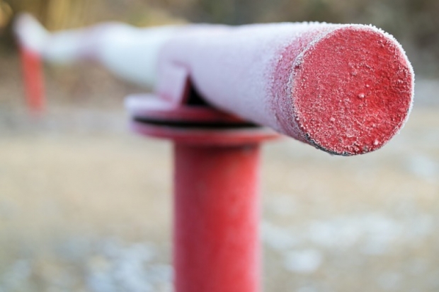 Житель Латвии пытался перевести через таможню в Псковской области три килограмма золота и деньги - 2020-09-25 15:53:00 - 1