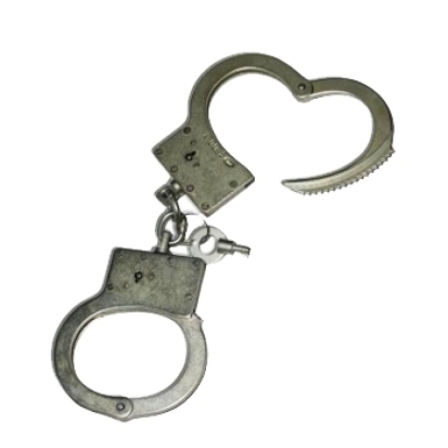 В Новосокольническом районе полицией задержаны местные жители, подозреваемые в дачных кражах - 2016-10-26 09:48:00 - 1