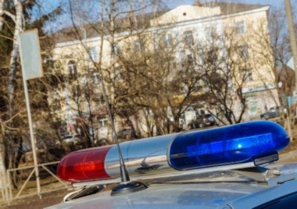 Пьяного водителя задержали в Дедовичах - 2019-07-30 11:48:00 - 1