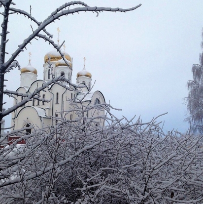 21 декабря в Великих Луках ожидается до -3°С - 2017-12-20 22:02:00 - 1