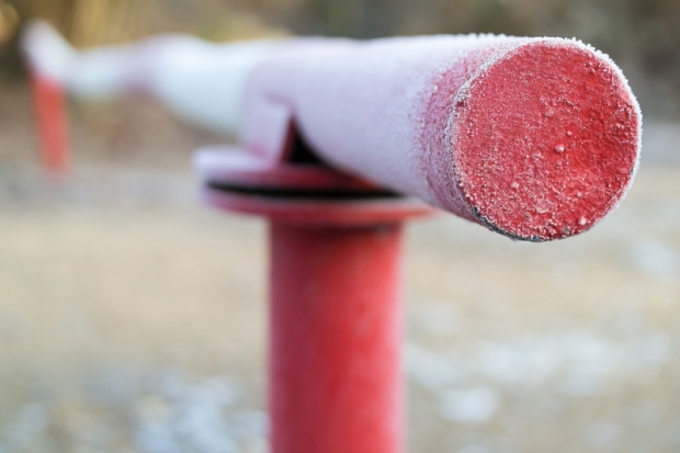 Иностранец обвиняется в даче взятки сотруднику псковской таможни - 2019-06-25 11:58:00 - 1