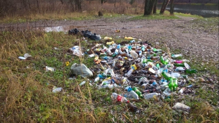 Комитет по тарифам и энергетике Псковской области пересмотрит тарифы операторов по обращению с твердыми коммунальными отходами (ТКО) - 2019-02-22 10:30:00 - 1