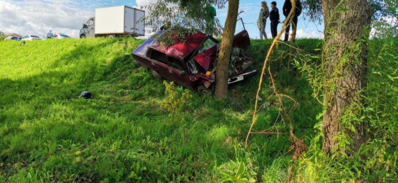 Двое маленьких детей погибли под колесами автомобиля в Великих Луках - 2020-08-26 14:24:00 - 1