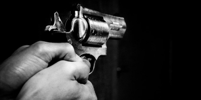 Самодельные пистолет и револьвер изъяли полицейские у невельчанина - 2020-12-11 14:43:00 - 1