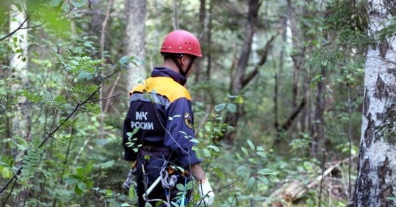 Псковские спасатели помогли заблудившимся людям выйти из леса - 2020-07-16 15:56:00 - 1