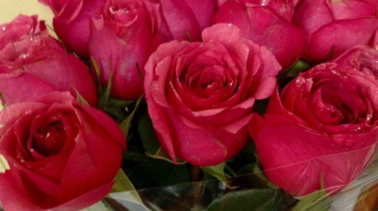 Администрация Великих Лук поздравляет педагогов, учащихся и студентов с 1 сентября - 2017-09-01 09:31:00 - 1