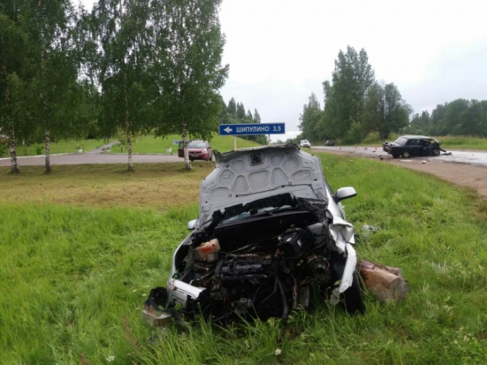 Подробности и ФОТО: в Великолукском районе в ДТП пострадали 7 человек - 2019-07-10 19:27:00 - 1