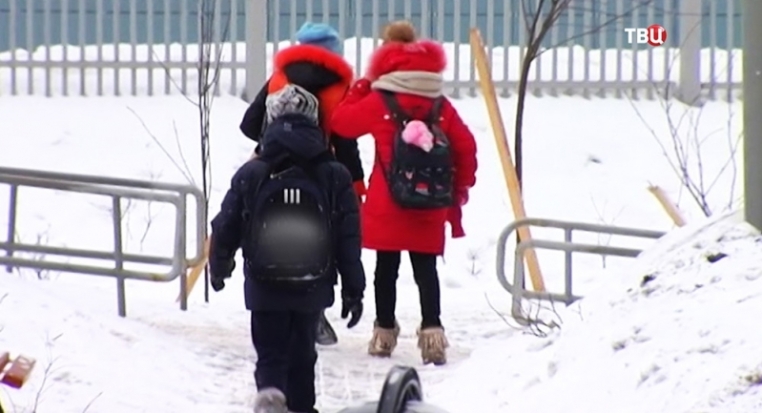 В Красногорске арестован учитель, возможно, из-за клеветы школьников - 2017-02-17 19:06:00 - 1