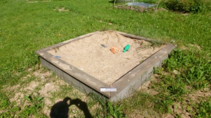 В Пустошкинском районе проводится проверка по факту гибели годовалого ребенка в реке - 2020-07-14 08:46:00 - 1