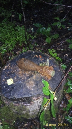 Недалеко от одной из местных деревень найдены боеприпасы времен войны (ФОТО) - 2019-07-11 20:13:00 - 1