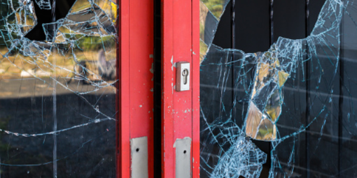 В Великих Луках раскрыты кражи телефона и трех бутылок виски - 2020-12-11 14:08:00 - 1