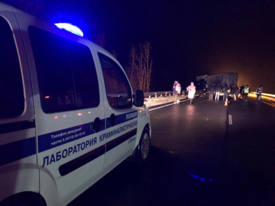 Восемь человек погибли и двое пострадали в ДТП с минивэном в Пустошкинском районе (ФОТО) - 2020-02-13 08:43:00 - 1